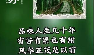 2004年9月18日发生了什么事